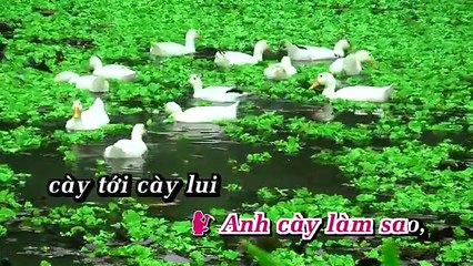Đi Cày – Bích Thảo Ft Hoài Linh - Karaoke Beat