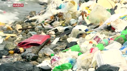 Plastik yiyen bozayıların nesli tükenme tehlikesi altında
