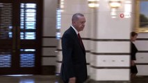 Cumhurbaşkanı Erdoğan, Norveç Büyükelçisini Kabul Etti