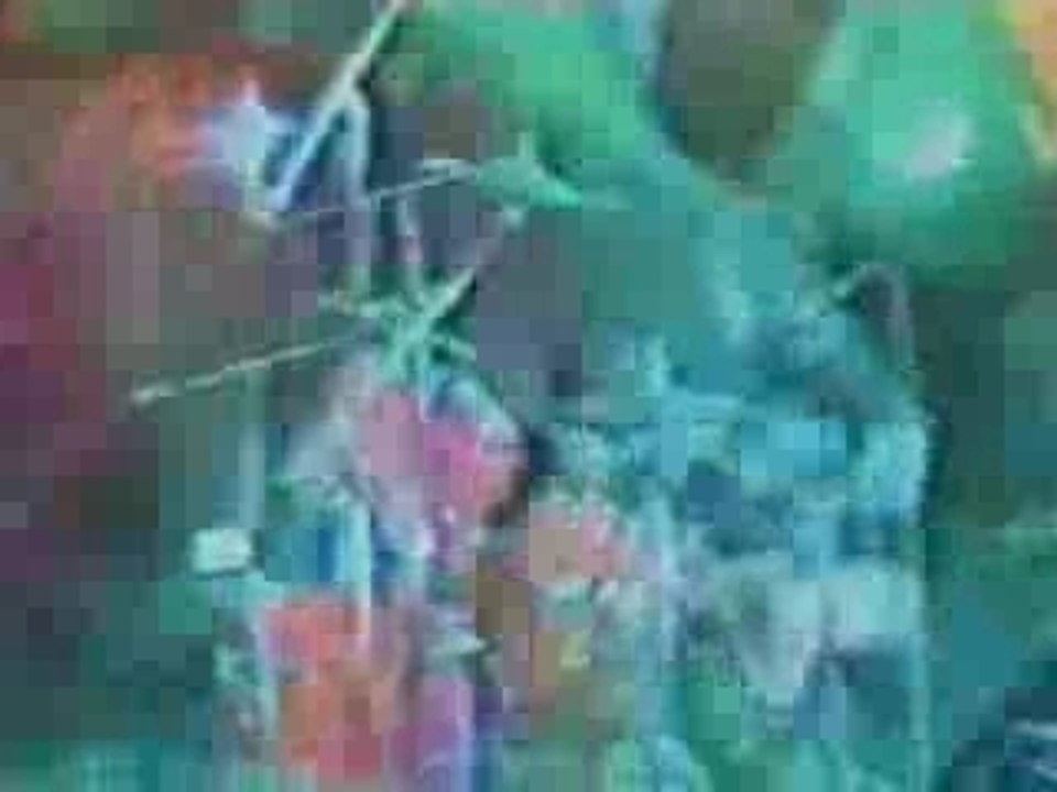 The Vibrators - Warzone