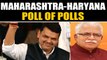 Haryana & Maharashtra assembly exit polls in BJP's favour  | OneIndia News