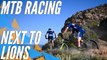 Mountain bike race in South Africa: Look out for the lions! | Cape Pioneer Trek 2019 (RSA) - Highlights