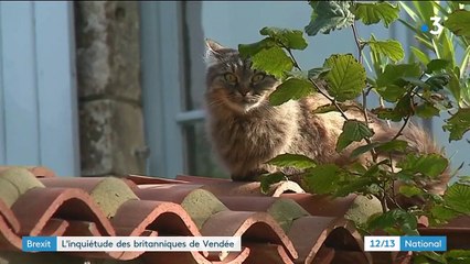 Brexit : l'inquiétude des Britanniques expatriés en Vendée