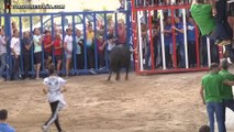 Toros en las fiestas patronales de La Sagrada Familia 2019 - La Vall d´Uixó