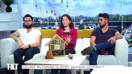 TILT - 21/10/2019 Partie 3 - Accueillir les insectes au jardin : pourquoi, comment ?