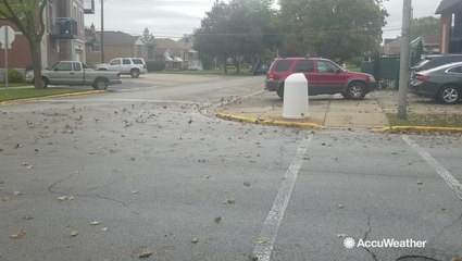 Strong winds kick up leaves after a rainy morning