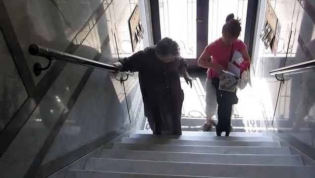 Ce chien aide une mamie à monter l'escalier.. en tirant sa robe !