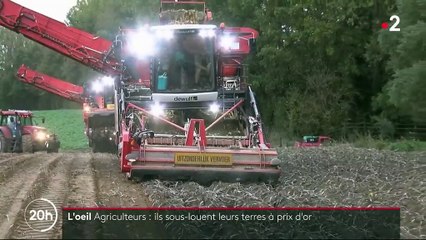 La sous-location de terres dans le Nord, business juteux des agriculteurs