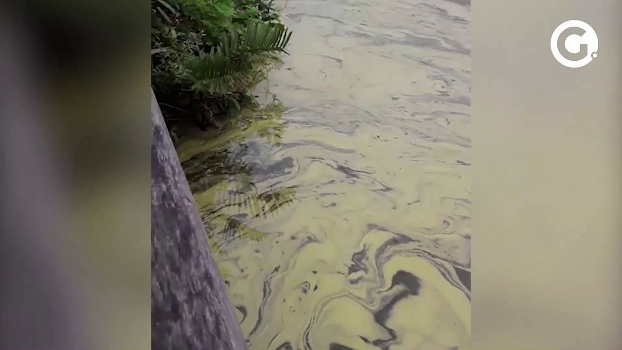 Mancha amarelada em lagoa de Guarapari