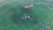 Un kayakiste saute à l'eau pour aller nager avec une orque