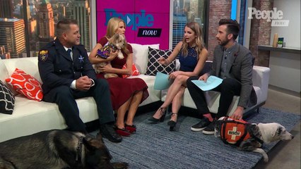 Meet the 'American Humane Hero Dog' Who Apprehended a Suspect Hiding in an Attic