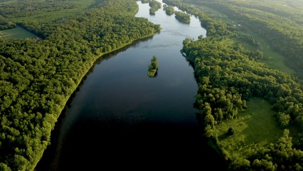 Wisconsin Farmers, Residents Try to Stop Massive Hog Farm