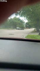 Truck Trying a Little Too Hard to Blend in