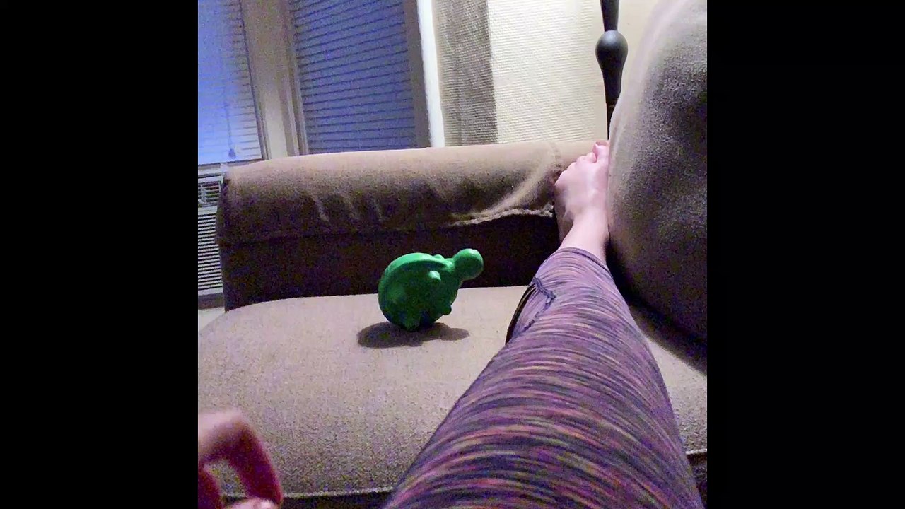 Corgi Crashes into Couch