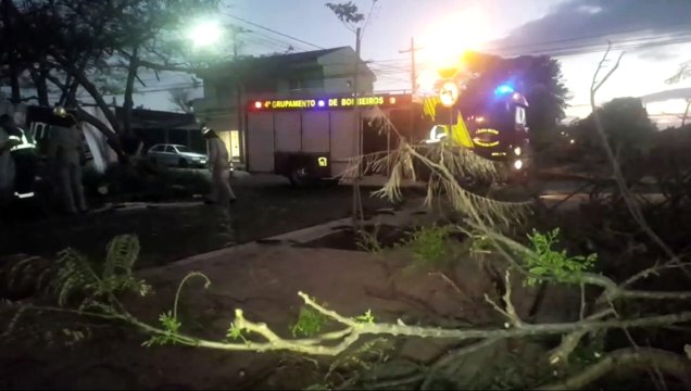 Corte de galhos de árvore caídos em via pública mobiliza Bombeiros e Cettrans