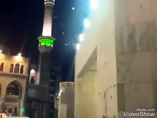 ¿Una 'plaga bíblica’? ¡Prepárense para la invasión de las langostas!