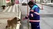 Este perro abandonado enseña sus trucos a un barrendero a cambio de cariño y se hace viral