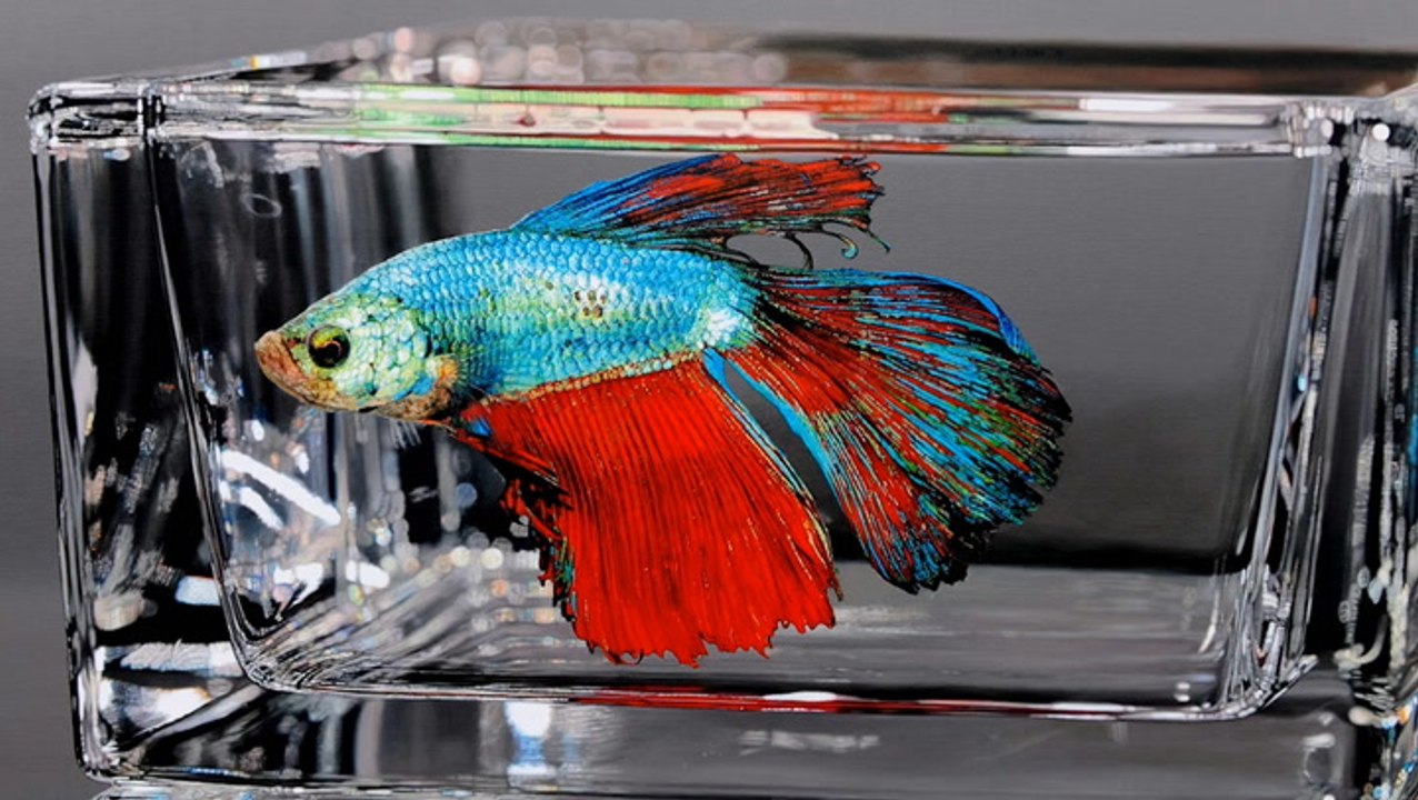 Hyperrealistic animal oil paintings glazed in resin