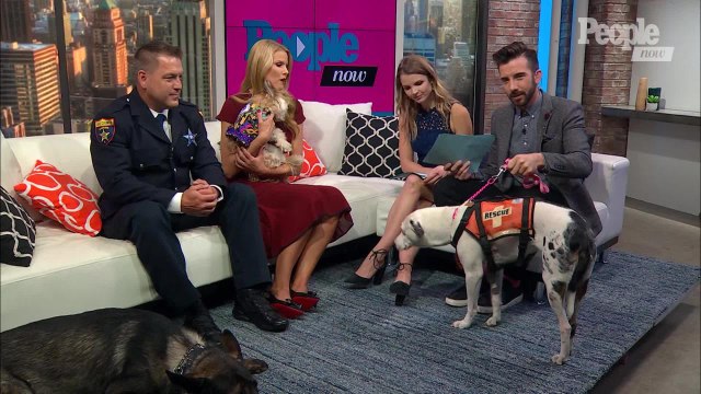Beth Stern Shows Off These Amazing Pups That Will Be Featured on 'American Humane Hero Dog Awards'