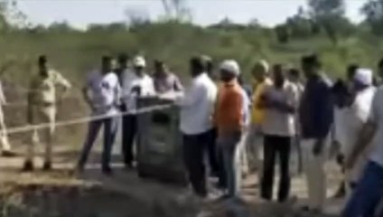 El dramático rescate de estos dos leopardos que cayeron a un pozo mientras peleaban por su territorio