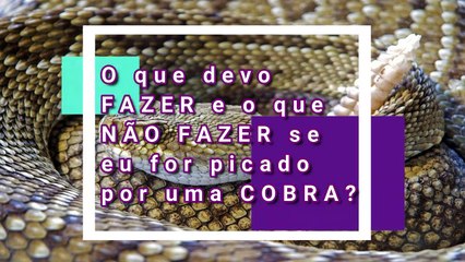 O que FAZER e o que NÃO FAZER se eu for picado por uma COBRA?