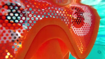 Disney Procurando Dory - Diversão  na Piscina