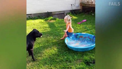 TRY NOT TO LAUGH - Funny Fails Video 2019 - He Must Have Had A Bad Night | Life Awesome