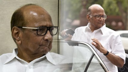 Maharashtra ByElection Results | பாஜகவை அசைத்து பார்த்த சரத் பவார்..தேசியவாத காங்கிரசின் எழுச்சி!