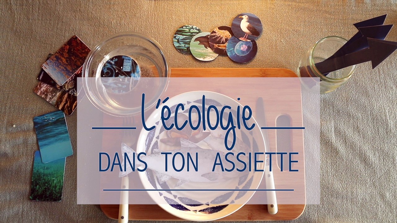 L'écologie dans ton assiette