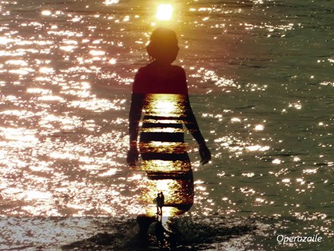 Anne Sofie von Otter: Arianna a Naxos by Haydn