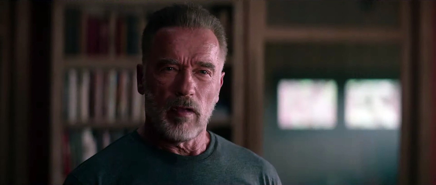 TERMINATOR DESTINO OSCURO Película - Destino