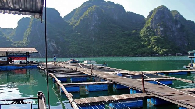 หอย ผลิตไข่มุกได้อย่างไร