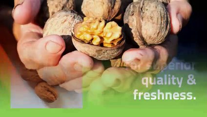 Buy kashmiri walnuts online