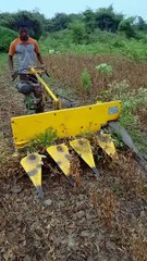 Farm technical or industrial lawnmower!