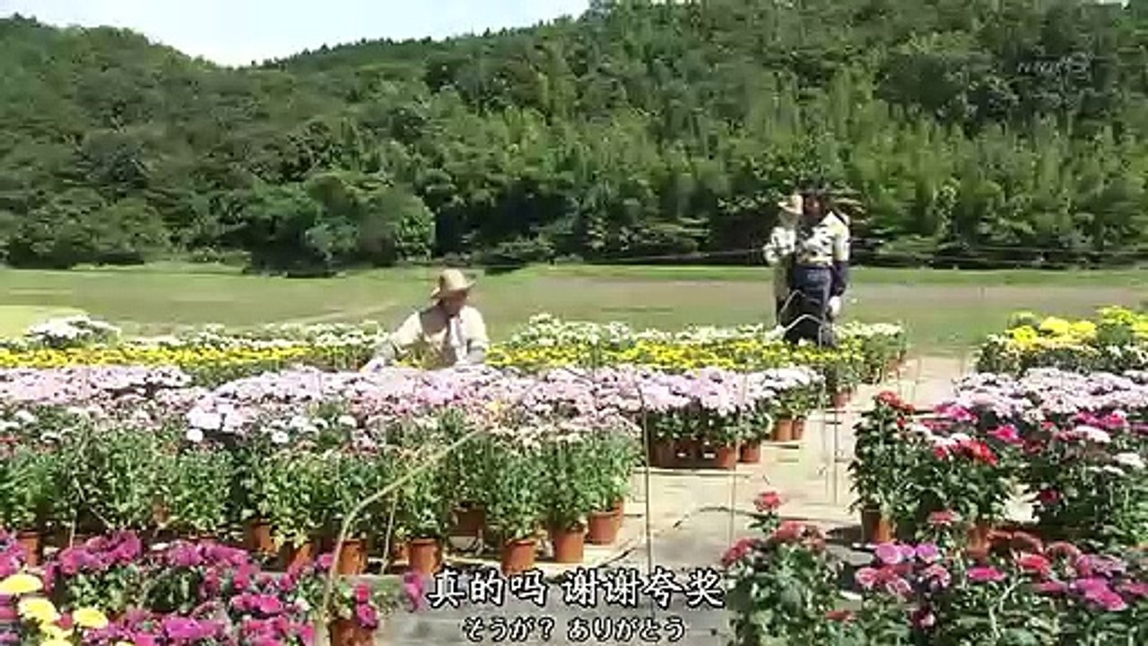 日劇 » 雛鳥 第2季02