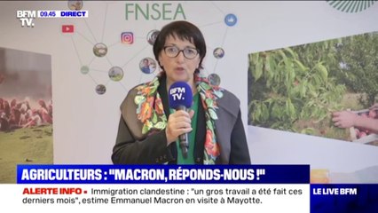 "La France est en train de tourner le dos à son agriculture.", selon la présidente de la FNSEA