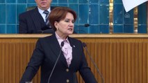 Akşener: 'Güçlü bir Türkiye için ihtiyacımız olan her şeye sahibiz' - TBMM