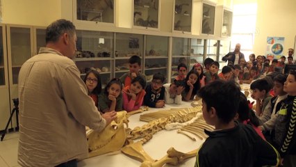 Anadolu tarihini milyon yıllık fosillerle öğreniyorlar - KIRŞEHİR