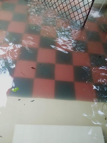 cmsvideo