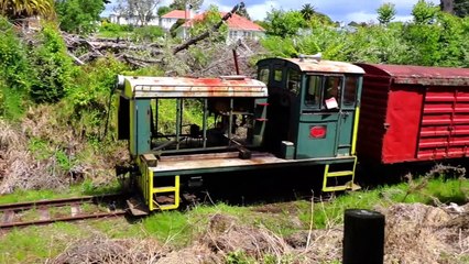 HOW DOES WWOOFING IN NEW ZEALAND LOOK LIKE- - Ep 67