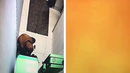 Un cambrioleur blessé par son système explosif pour ouvrir un distributeur automatique
