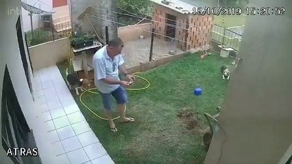 Karınca yuvasını yok etmek isterken tüm bahçeyi yerle bir etti