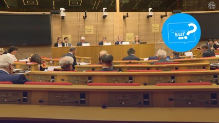 [QUESTIONS SUR] Proposition de loi visant à adapter la fiscalité de la succession et de la donation aux enjeux démographiques, sociétaux et économiques du XXIe siècle