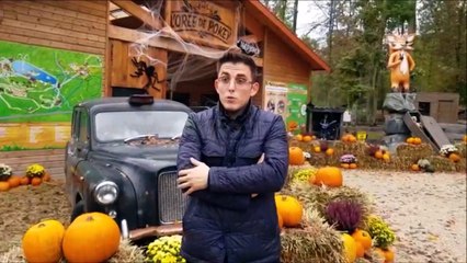 Fey : le parc Pokeyland se prépare pour Halloween