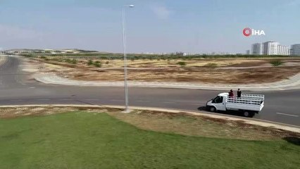 Yaptığı tıraşla görenlerin yüreğini ağzına getirdi