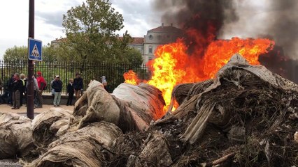 Avignon : les agriculteurs mettent le feu devant la préfecture
