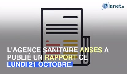 Certains smartphones seraient nocifs à proximité du corps