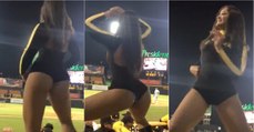 Cheerleader deixa adeptos colados em jogo de basebol