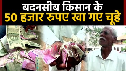 Tamil Nadu के coimbatore में  Rats swallowed 50 thousand rupees | वनइंडिया हिंदी
