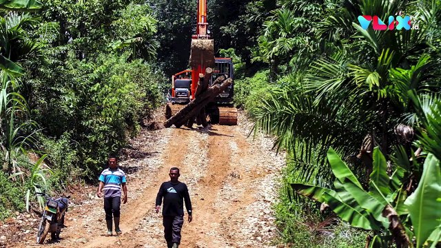 EKSKLUSIF! Cerita Jusuf Kalla Kerja Bareng Jokowi